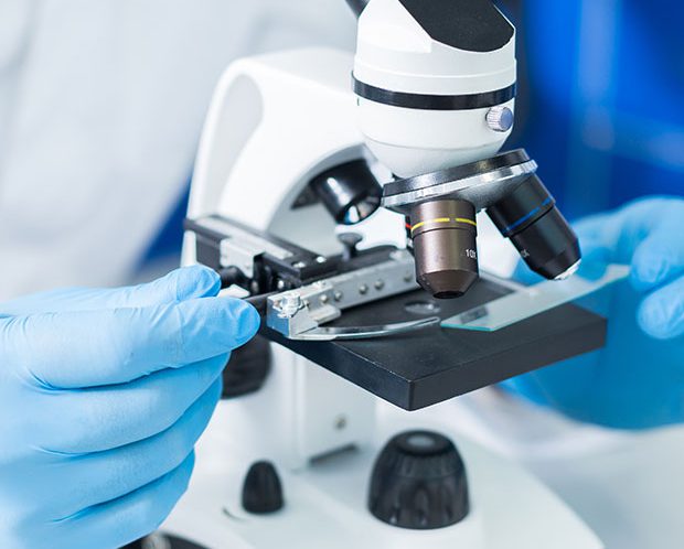 Sterlinganalytical.com