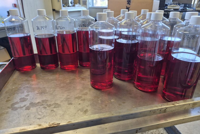 Moisture & Chemical Exposure Testing: The Science of Synergistic Degradation