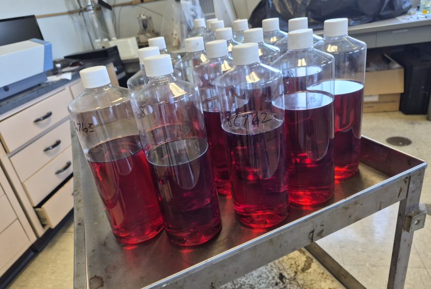 Soil Corrosion Testing Services