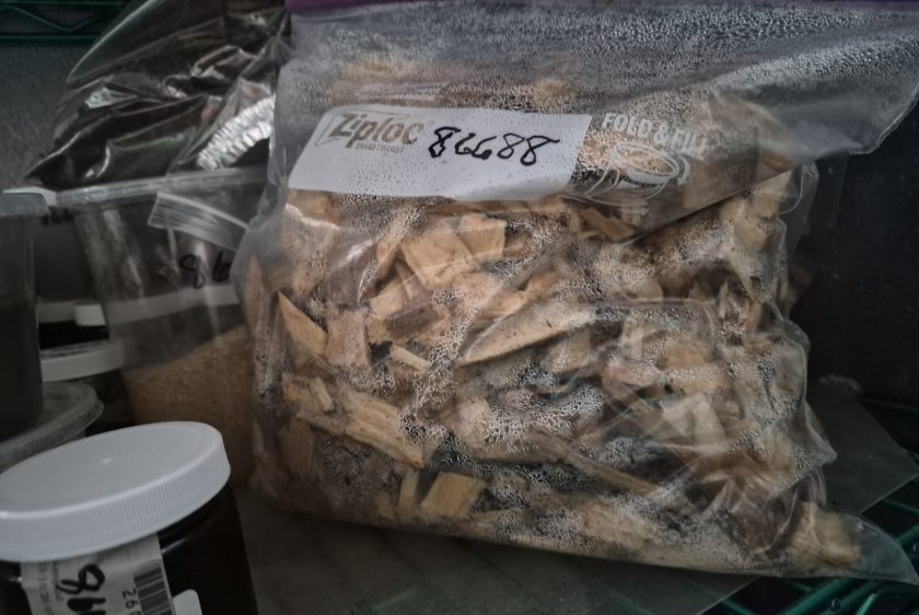 HHV vs. LHV: Understanding the Calorific Split