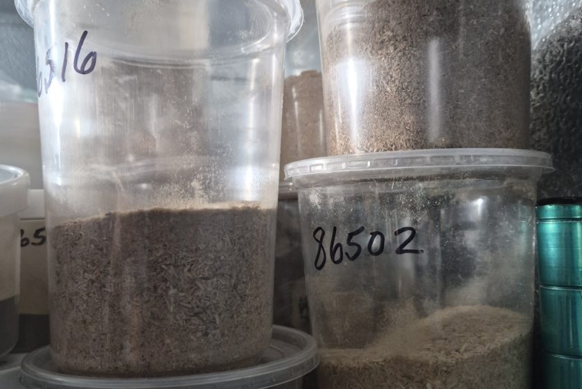 Soil Corrosion Testing Capabilities