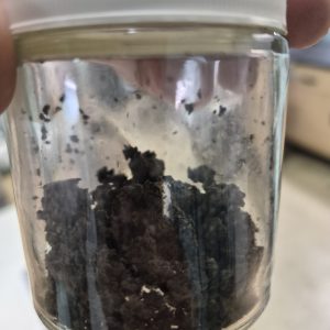 Sludge BTU & Energy Content Analysis Services